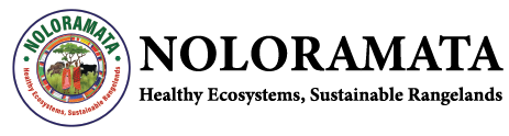 1noloramata web logo 01