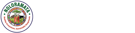 2noloramata web logo